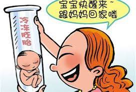 关于私人代怀公司